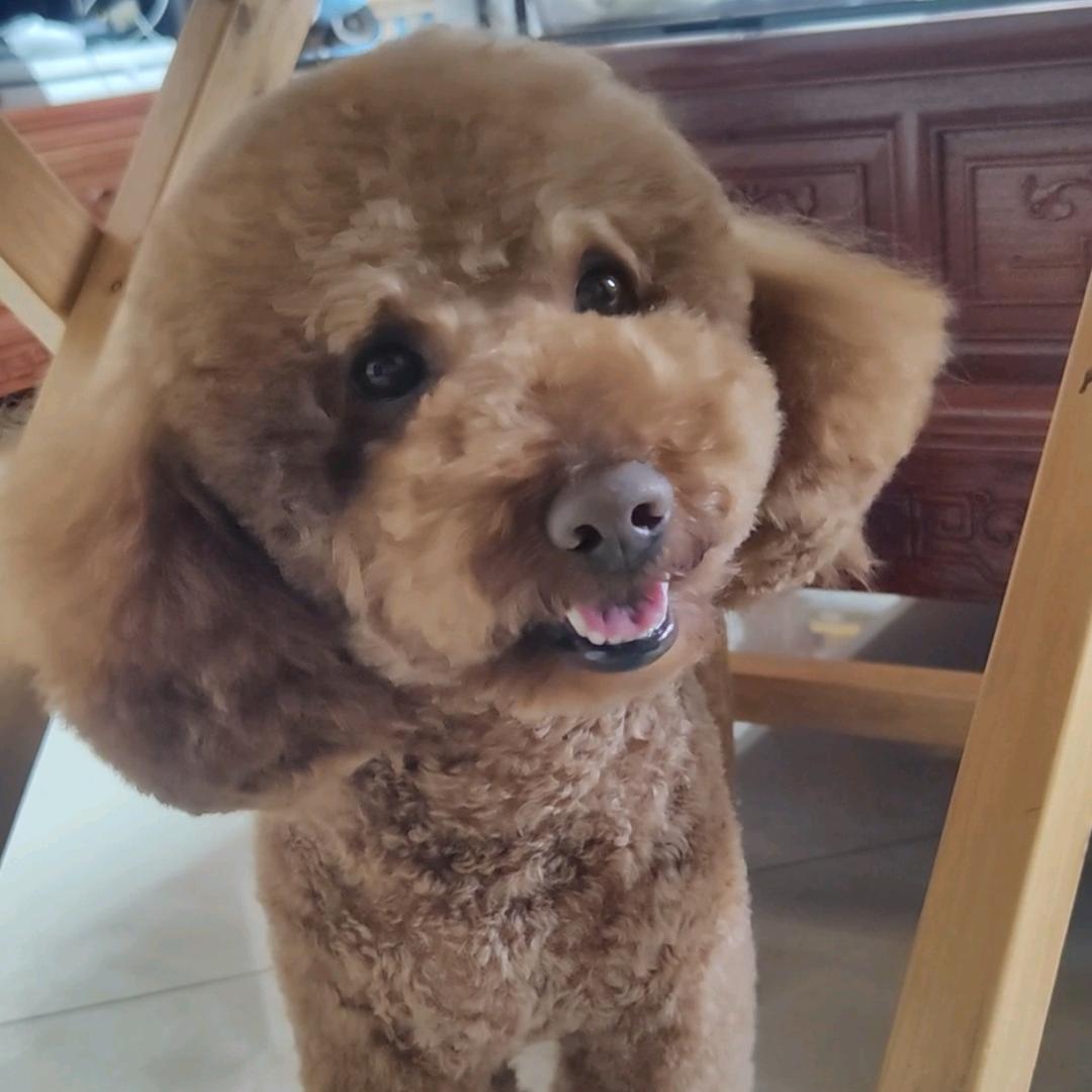 🉑甜🉑盐萌萌哒