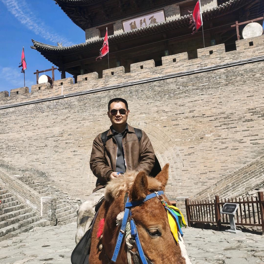 自由的风
