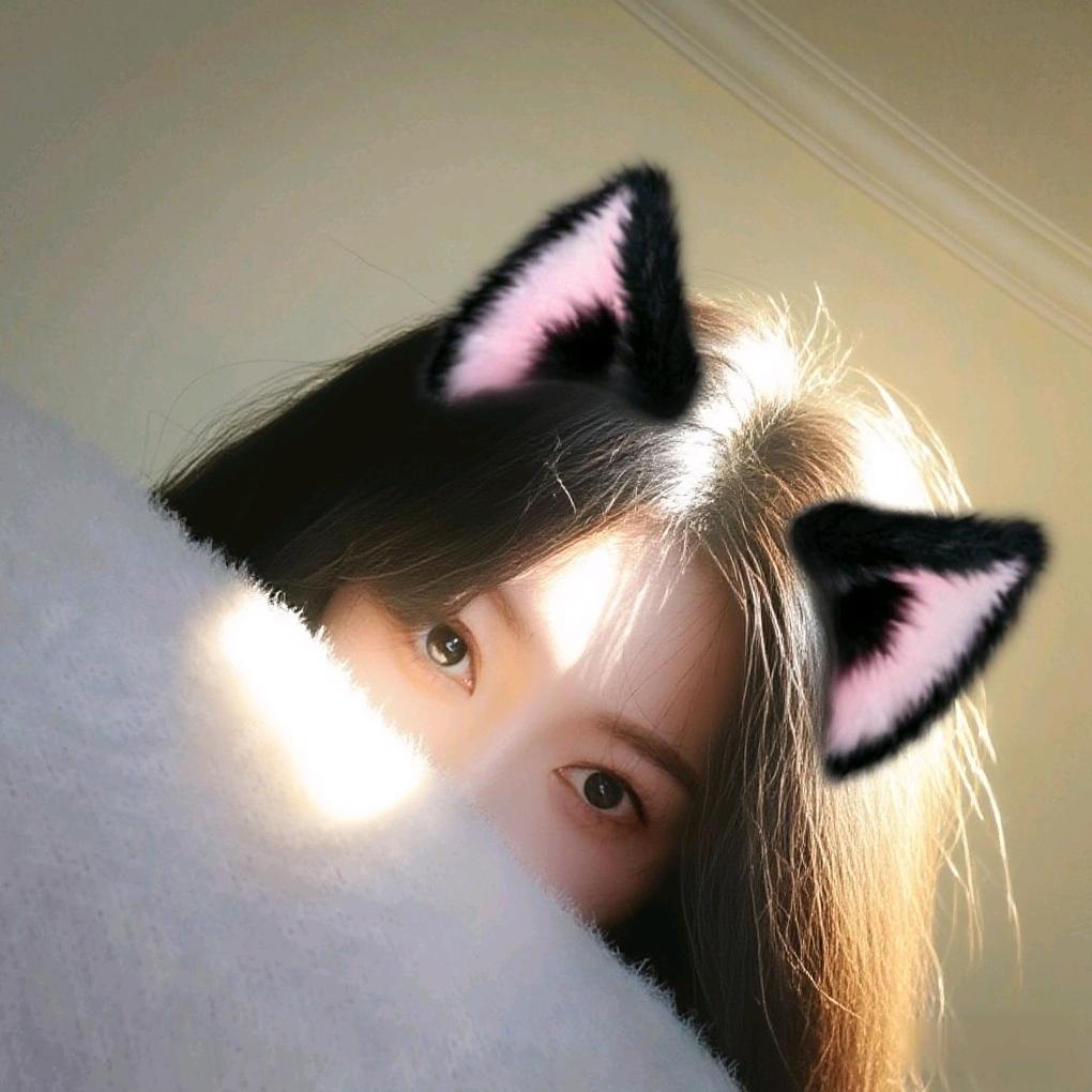 晴儿是只猫