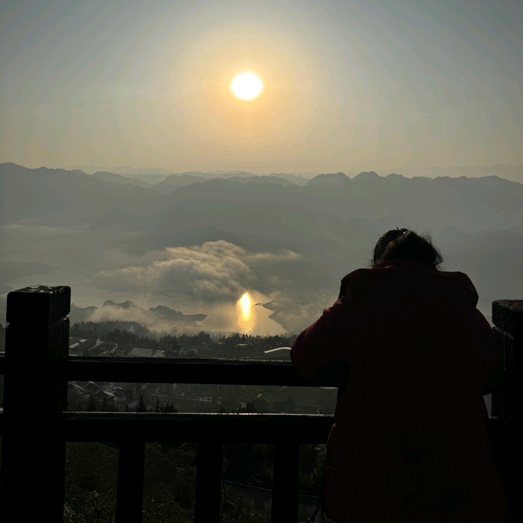 小💃英🌻子🌻