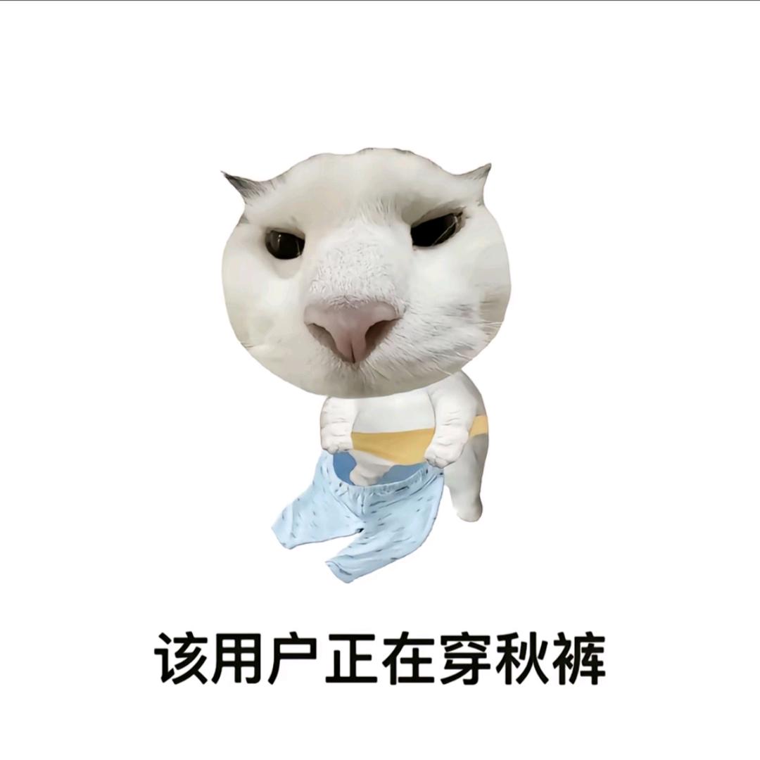 装x会掉智齿