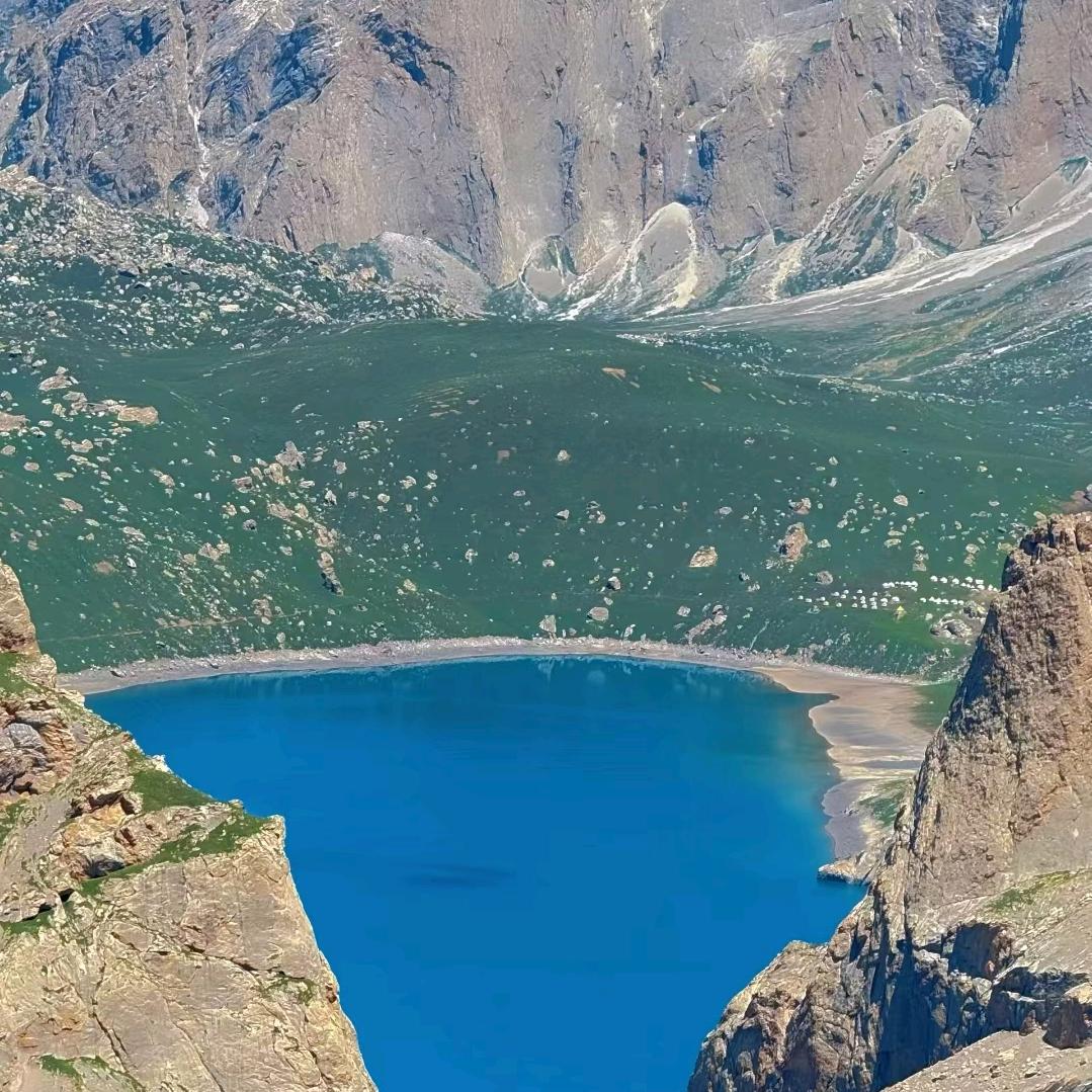 爽文男主（爱苗版❤️❤️）