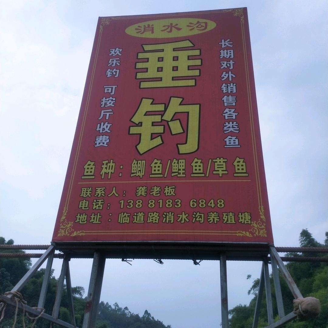位置邛崃市临济镇临道路消水沟。