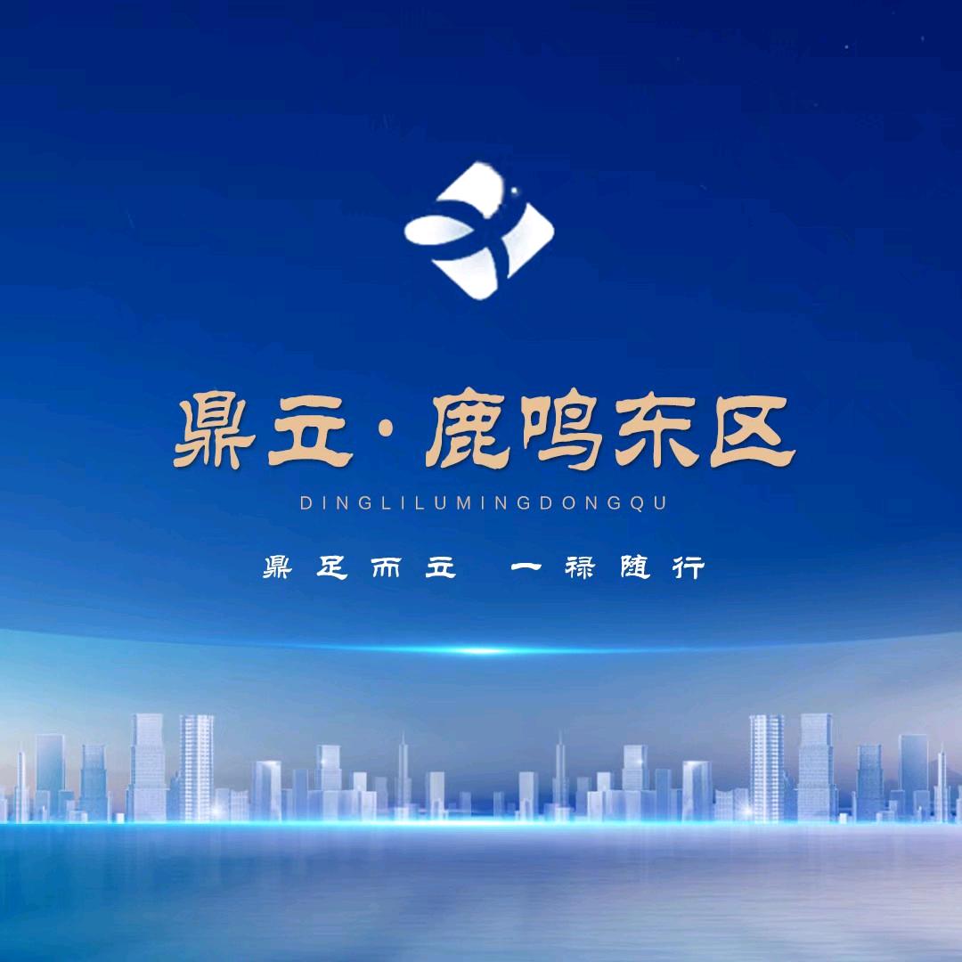 长子鼎立地产