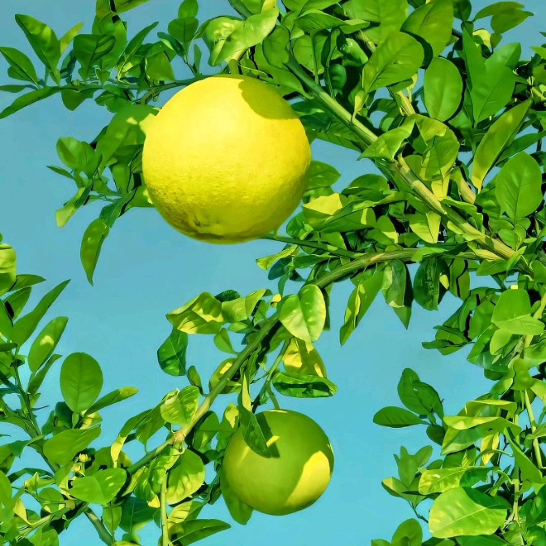 星星迟来（暴富版）🌈