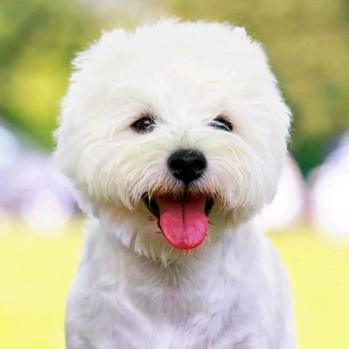 ²⁰²²ꦿ᭄ﻬঞ往事清零꧔ꦿ໌້ᮨ࿐