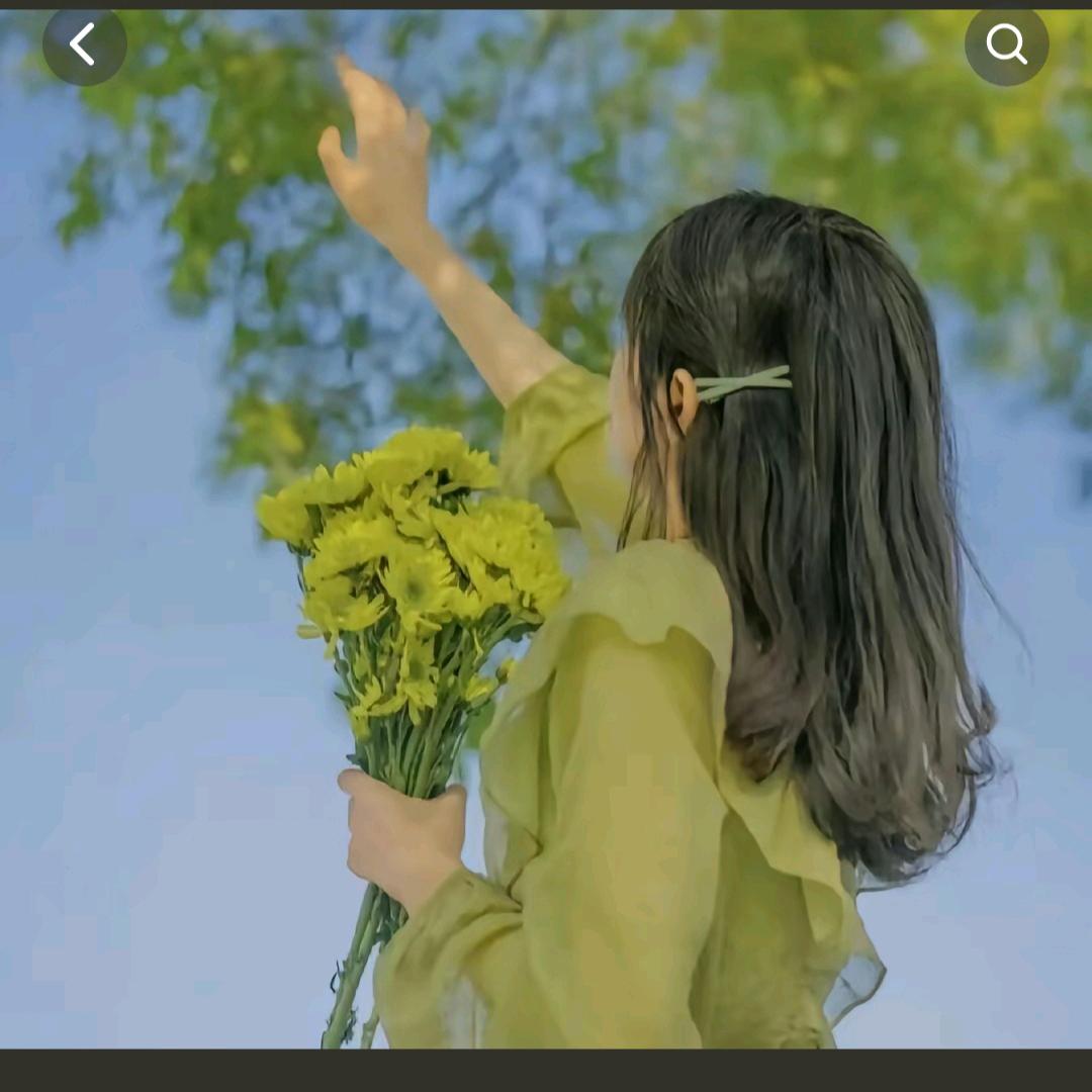 凤凰