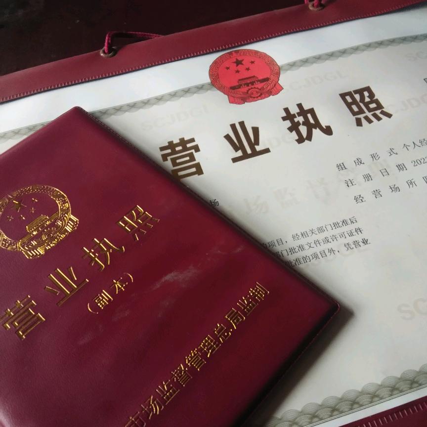 踏雪💲凌云