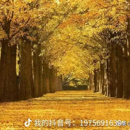 好人一生平安😄