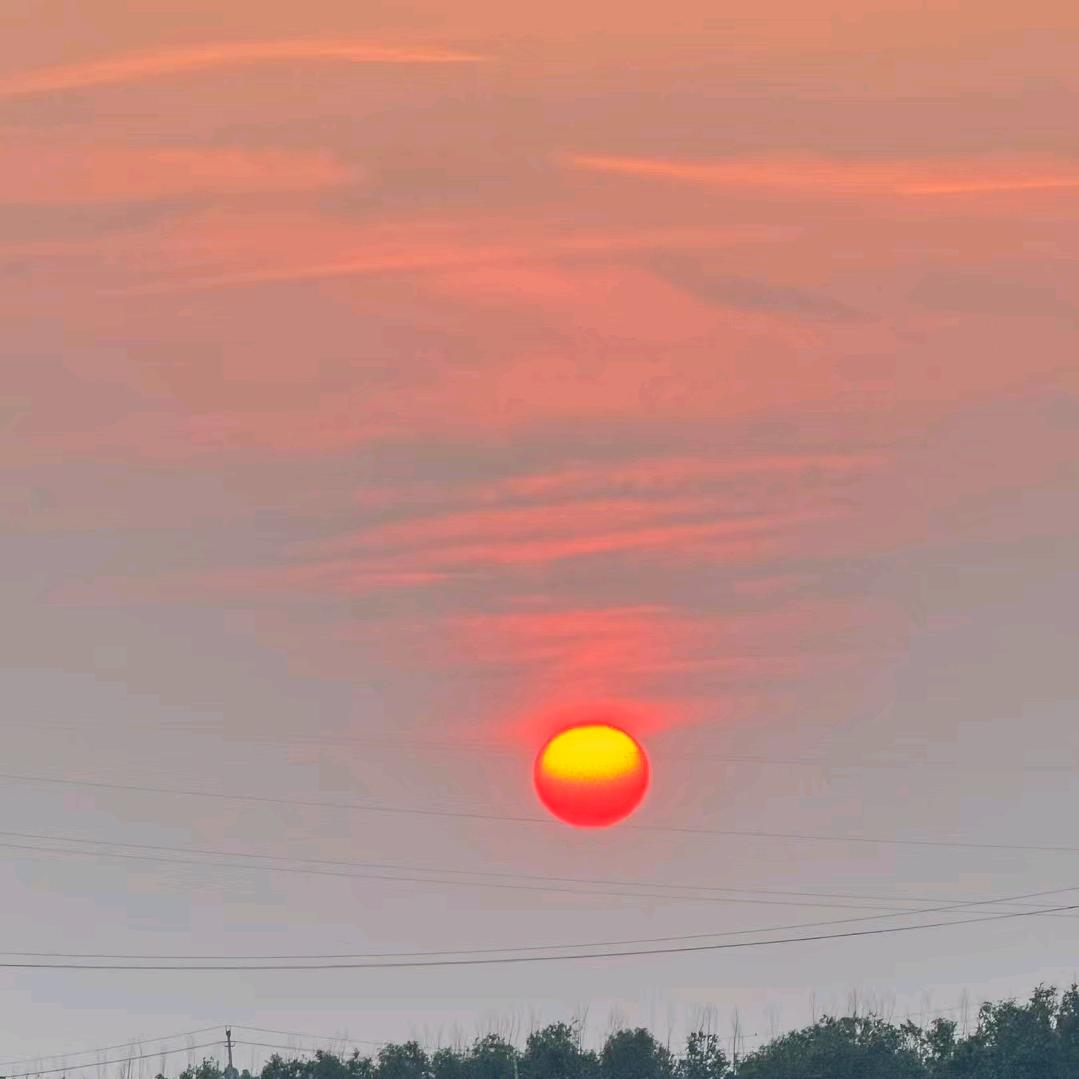 驾校 庄教练