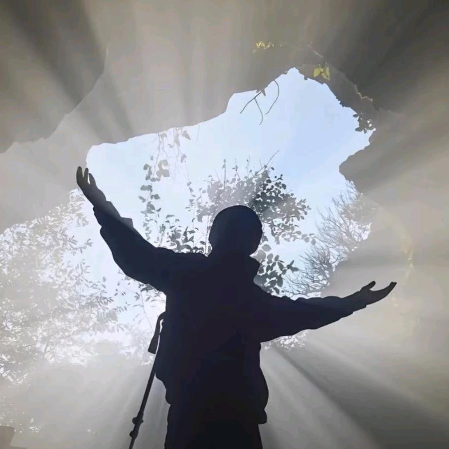 肥波直接给我坐下🍊🌙