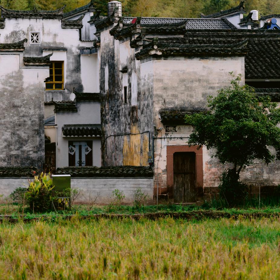 乡信阿杰农产品