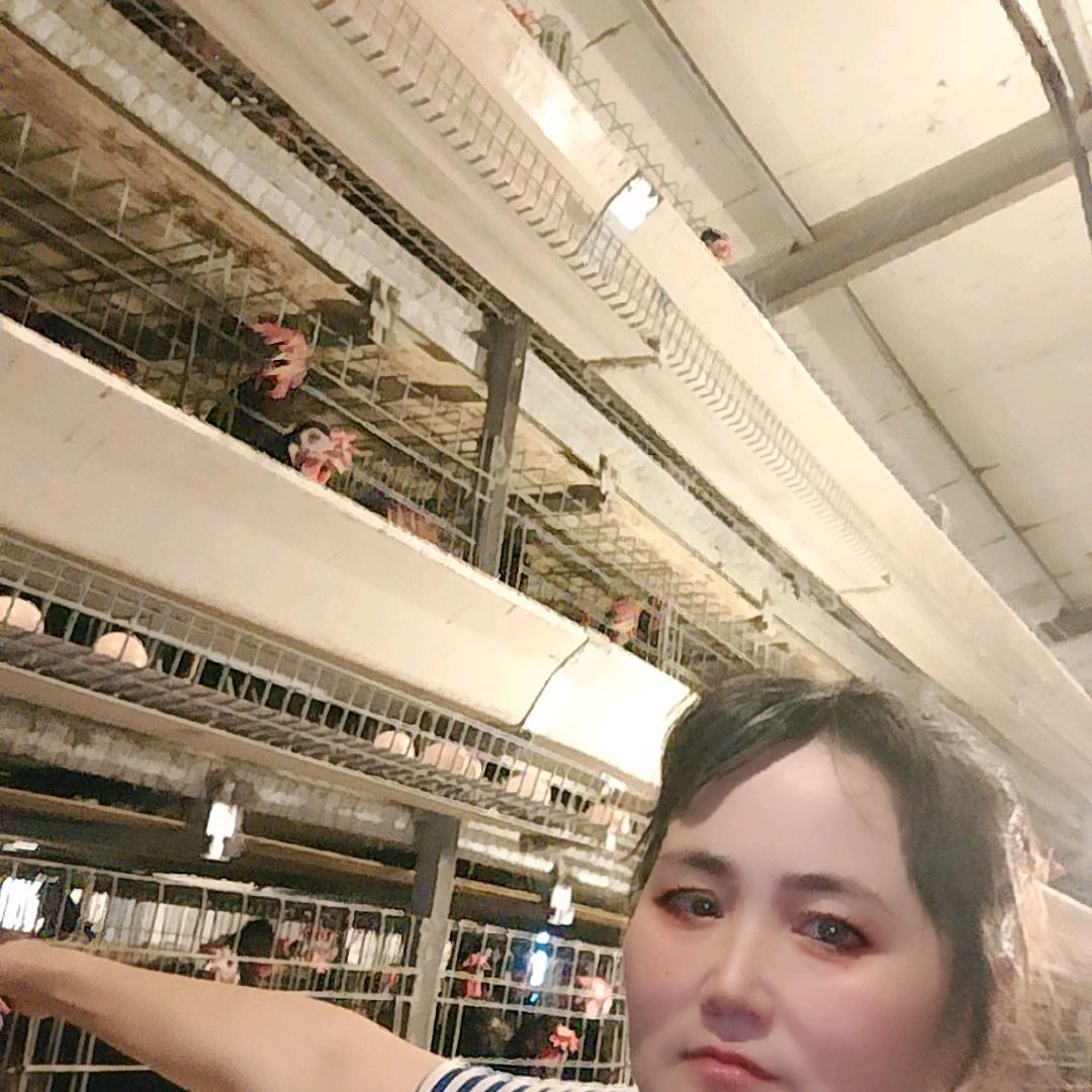 韩褔平