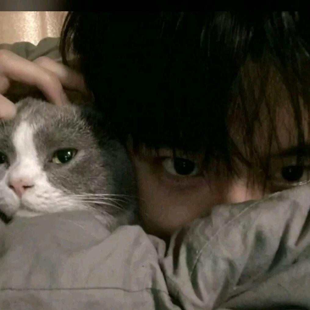 zㅤ