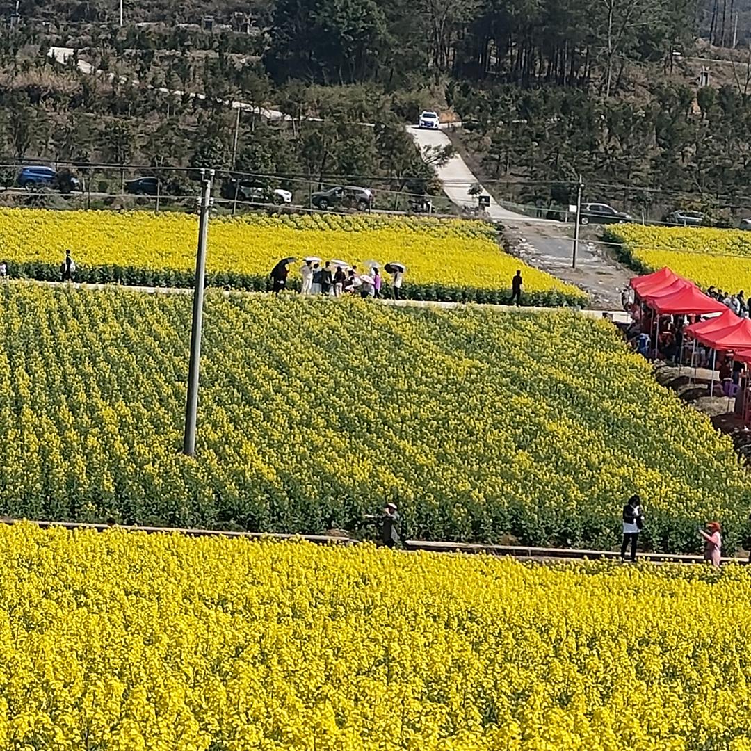 养生馆 黑沙坝 3838