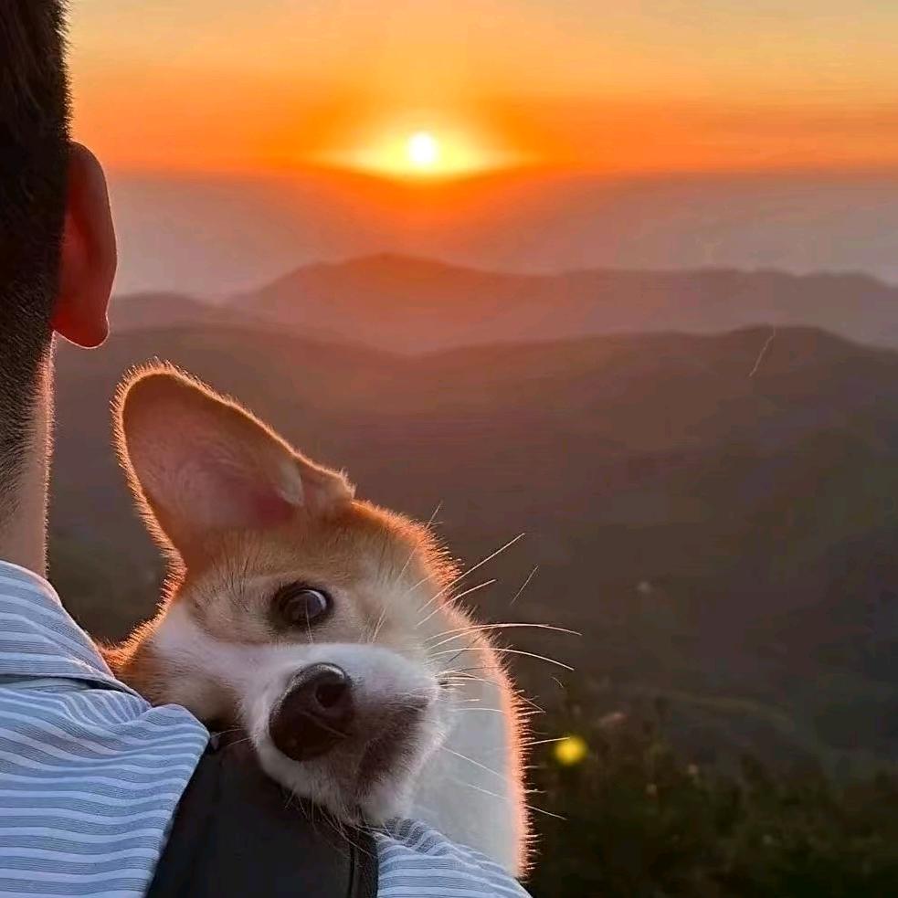 自然卷ڪ