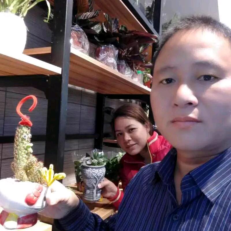 汗血宝马