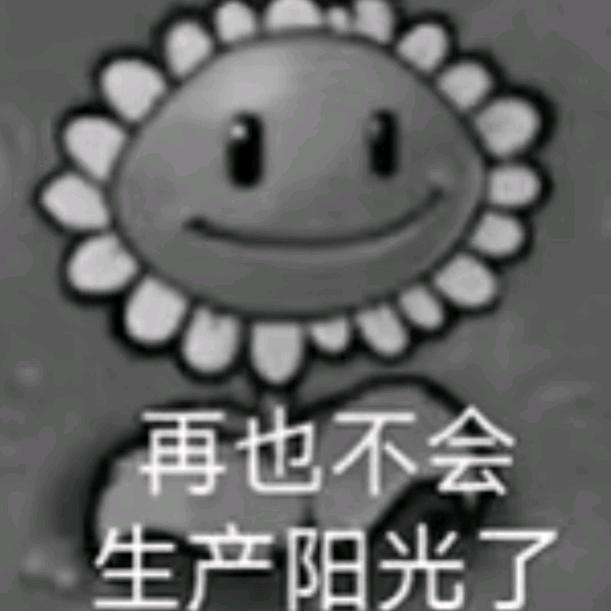 不再相信任何人…