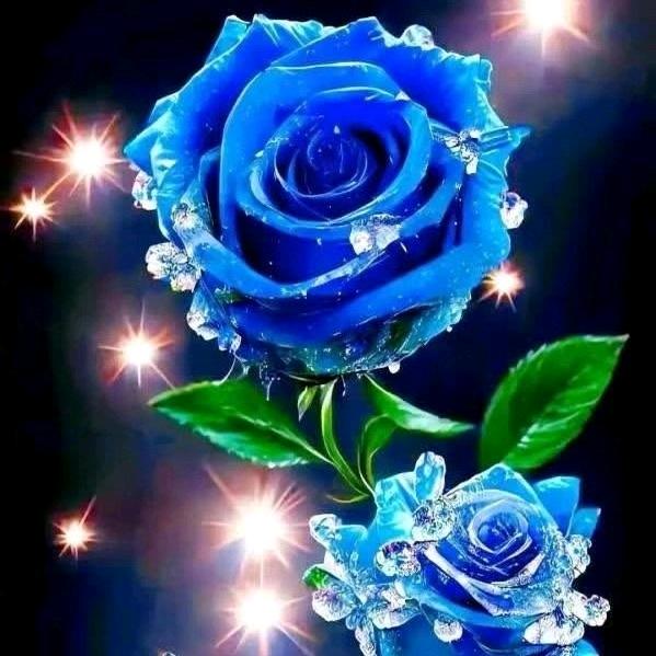 七月盛夏倾情（拒聊）