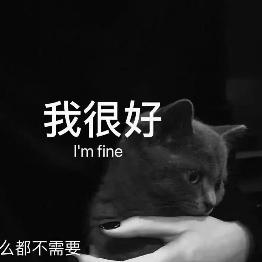 柠檬茶