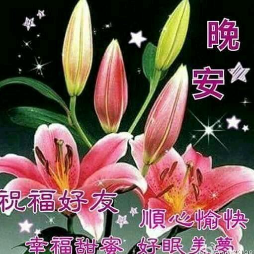 奋斗