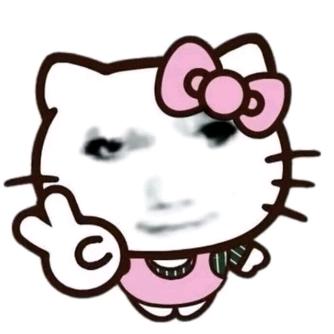 我关注了你