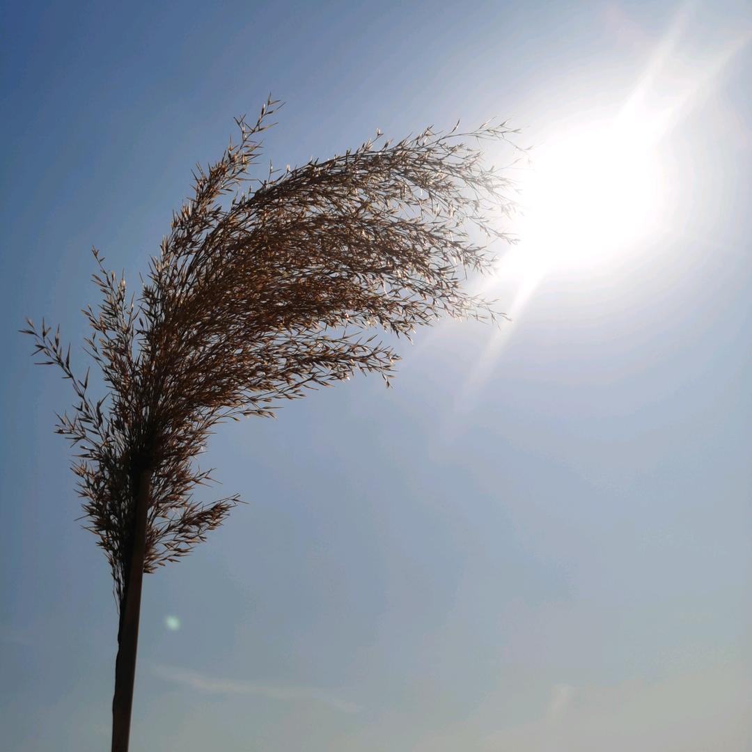 🇨🇳🇨🇳198...