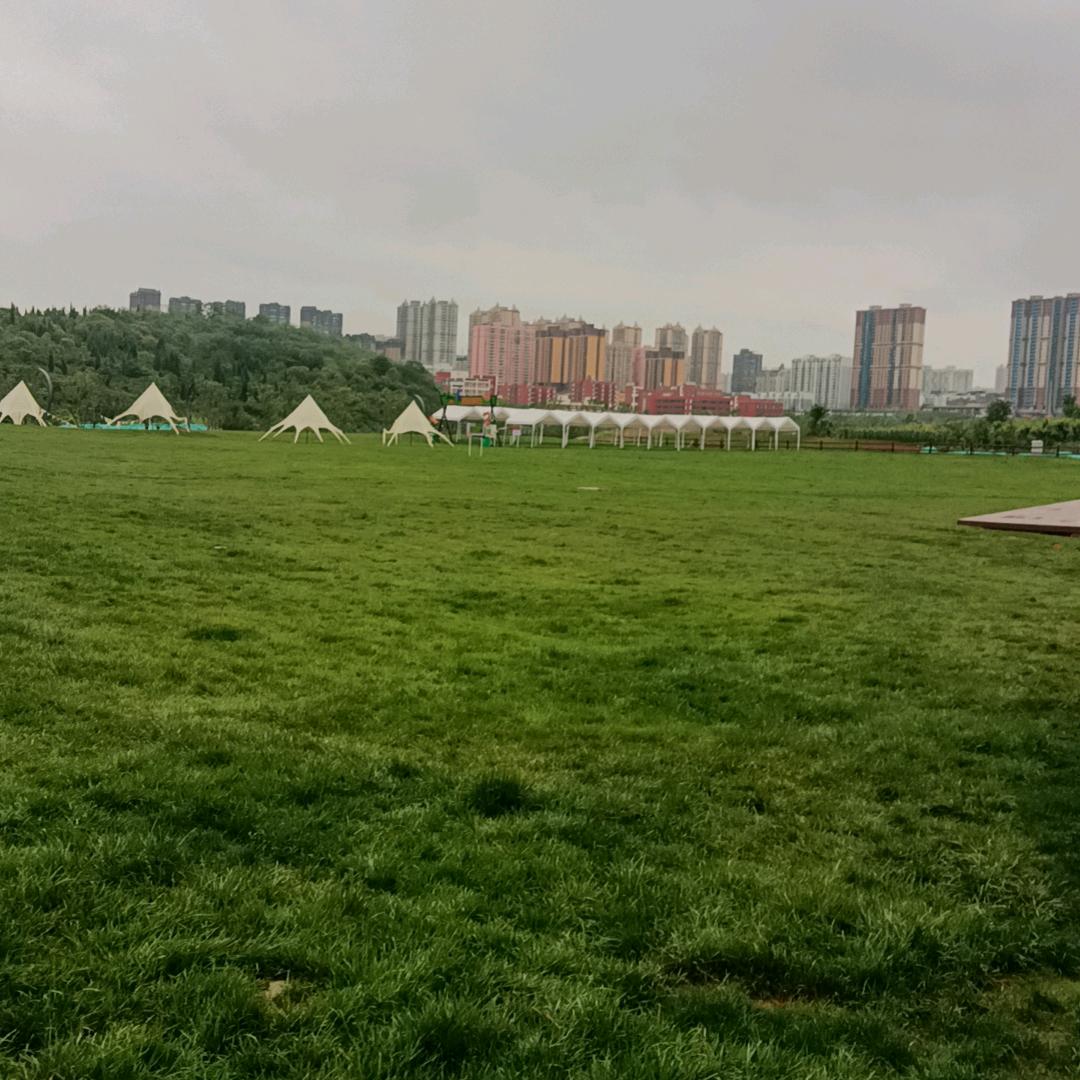 玛卡巴卡的小朋友