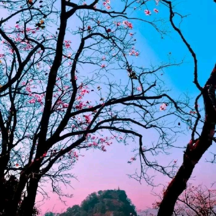 ❤鸿运