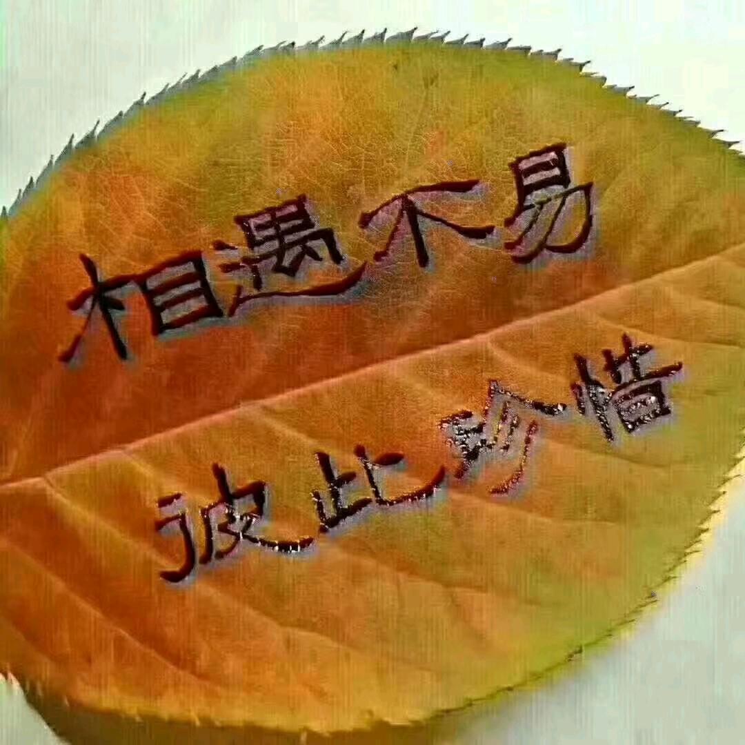 鸿运当头@