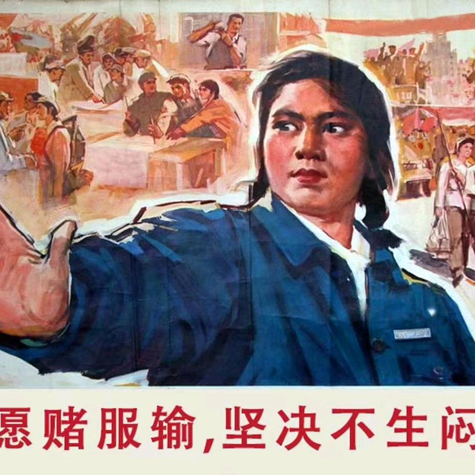 杨力 没有退路  只有前进