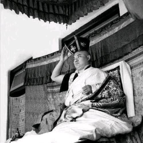 “jiang”小白🐯