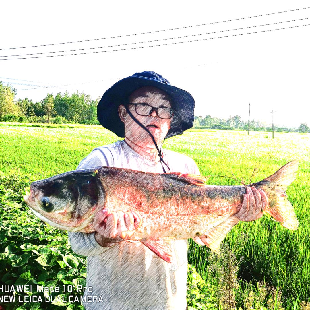 🌈小马哥🎣