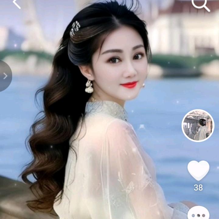 淡如菊