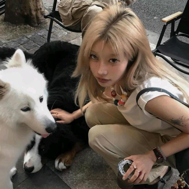 ciii🍟(见过莎头十勤版)