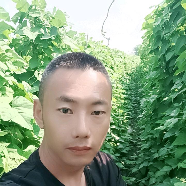 东北黑土地小园蔬菜（杨涛）