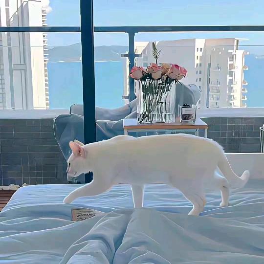 带你游玩江浙沪