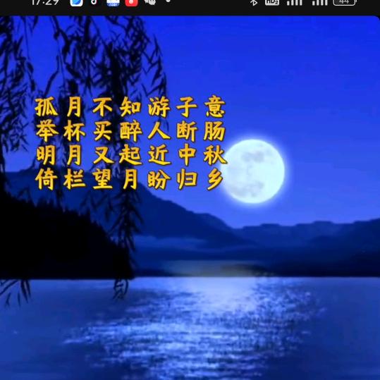 孤月✪ω✪望🐢🦋（程晨）