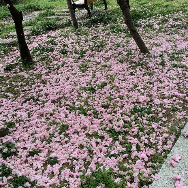 雨韵