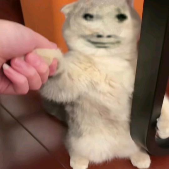 .拾柒.