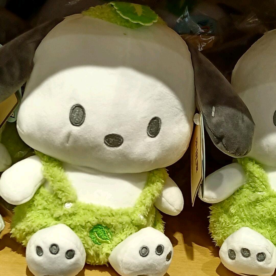 出差的焦糖玛奇朵