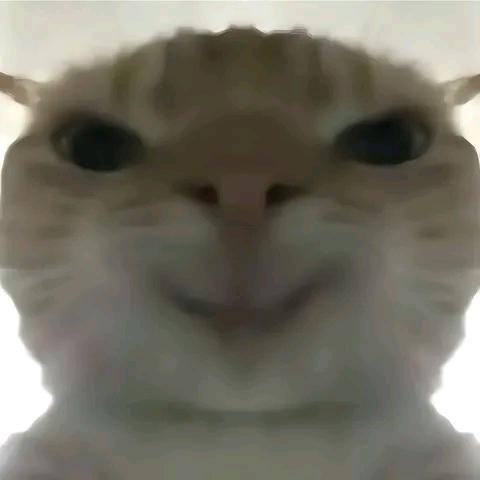 三角洲能量补给站
