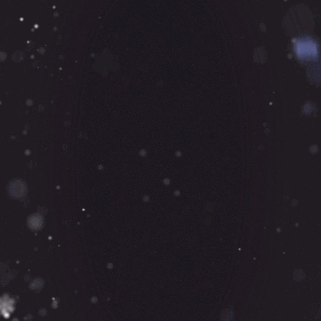 睿洋洋