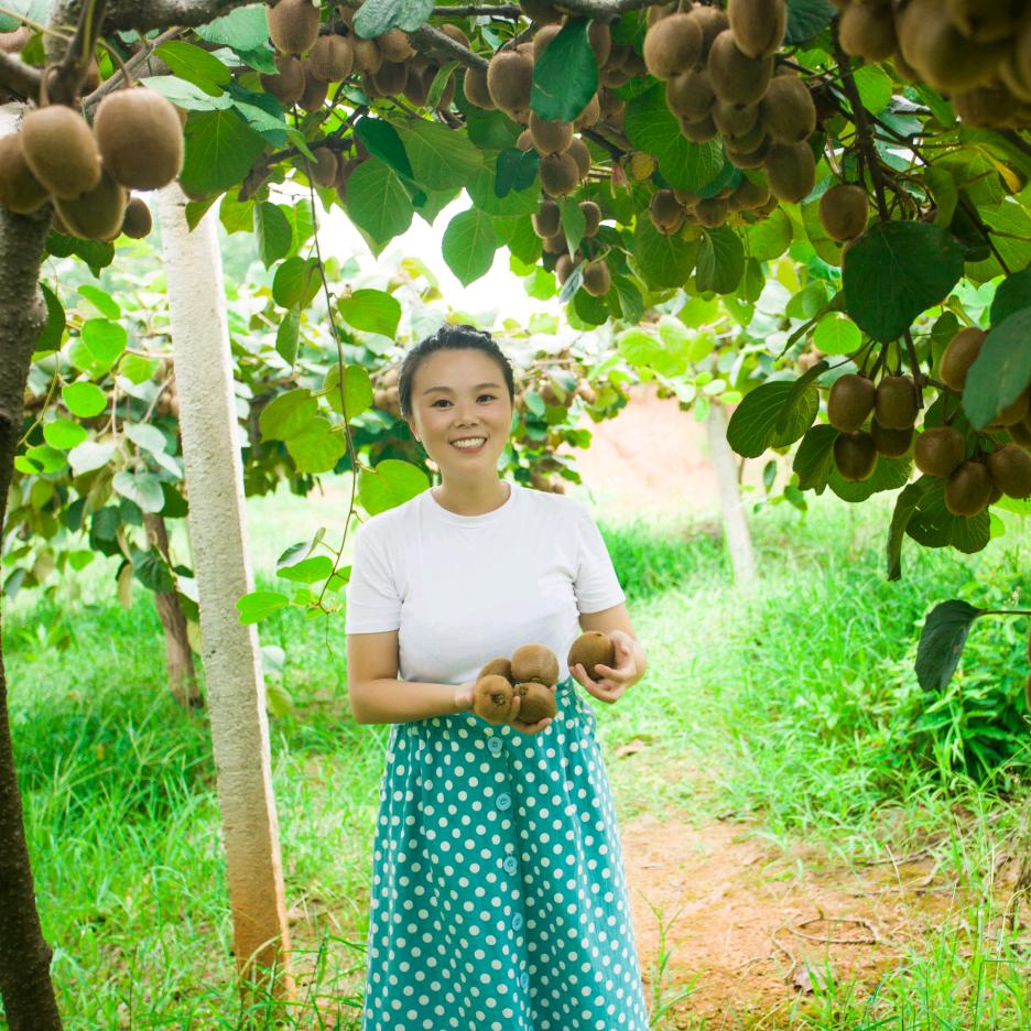 奉新芳芳农家缘猕猴桃
