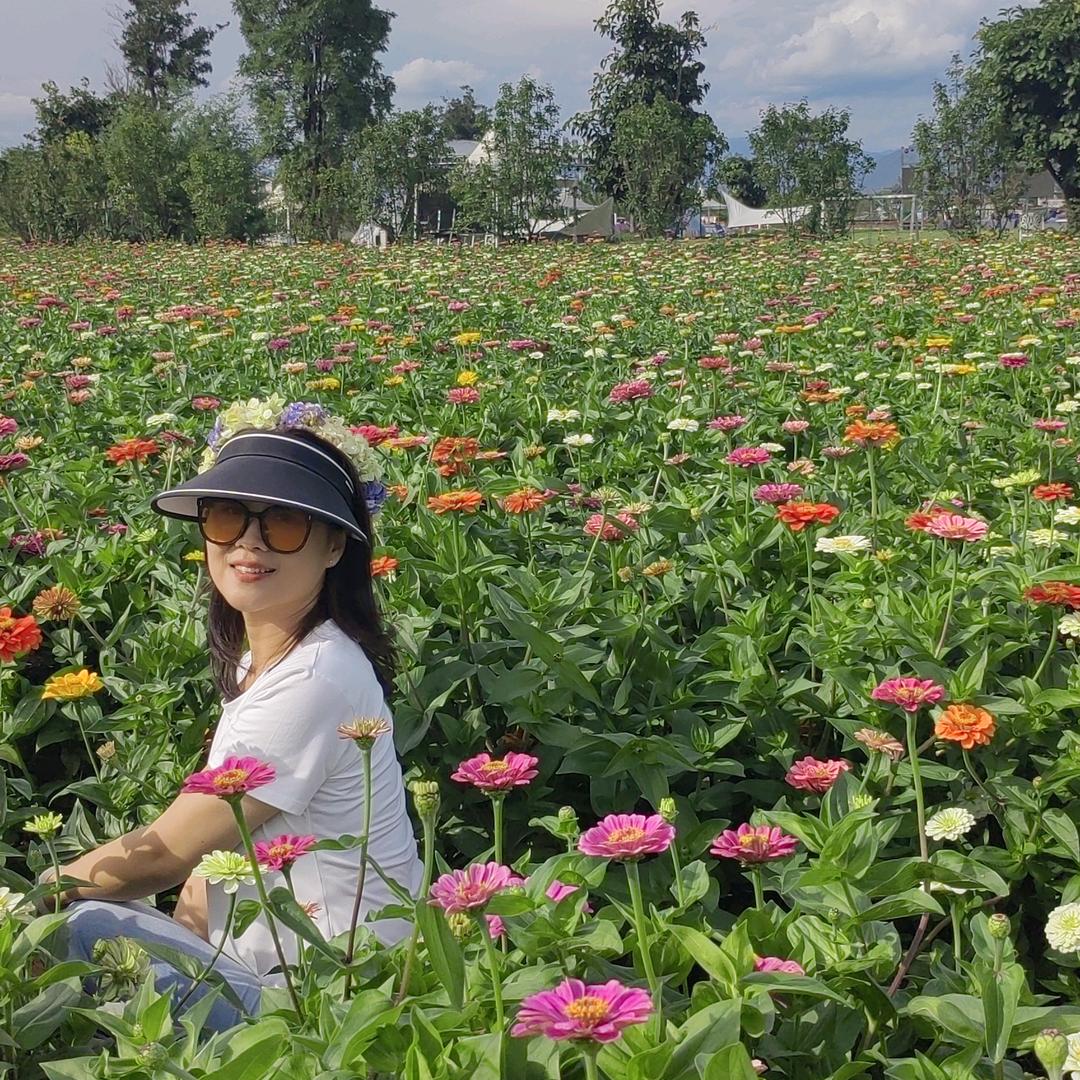 洋洋妈3（中午12：10）