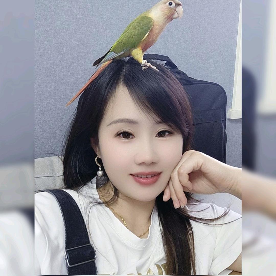 小凤.