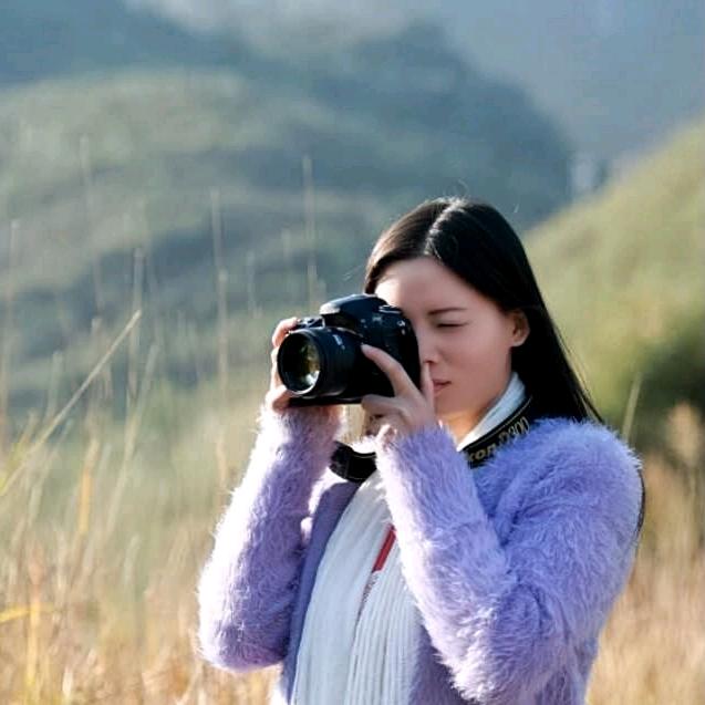 杨杨