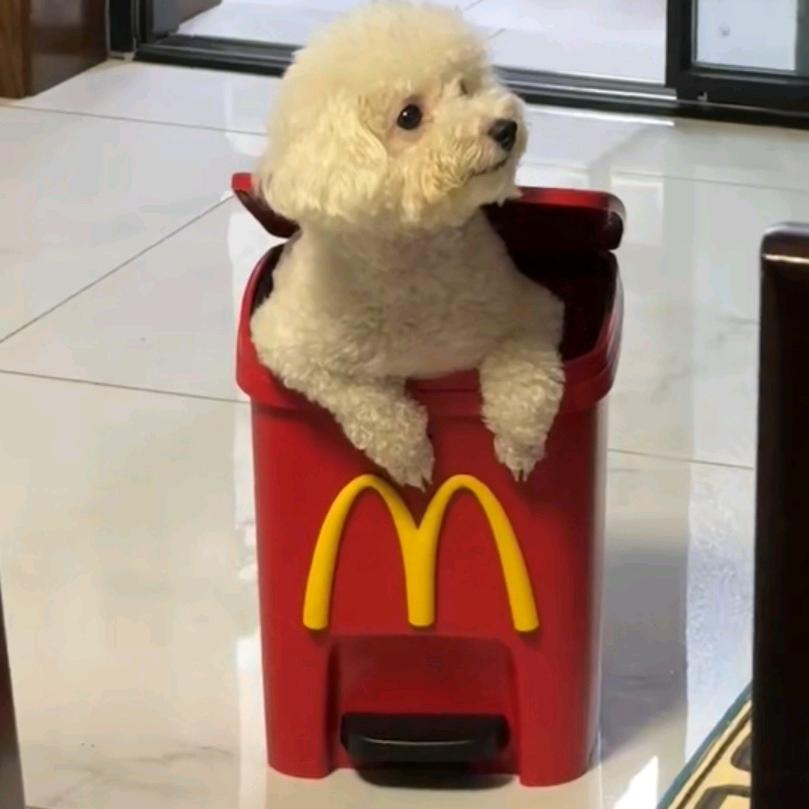我 i