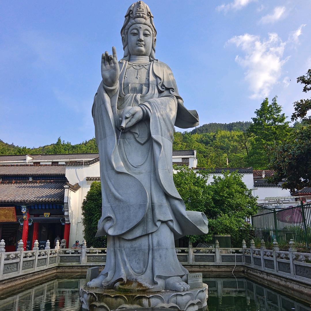 自由飞翔_254407932