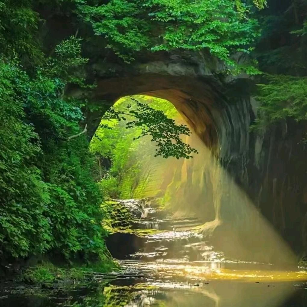 小金老师（梅花易数）